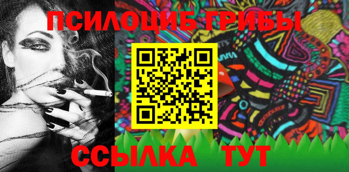Псилоцибиновые грибы Psilocybine cubensis Отрадный